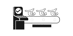 18 ઉત્પાદન લાઇન